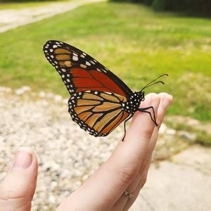 Meet your Posher, Alicia